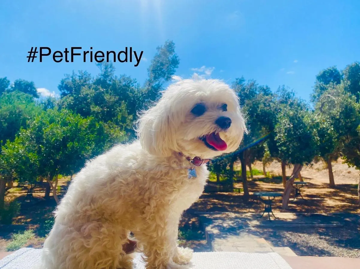 Bungalow Sequero #Pet Friendly location